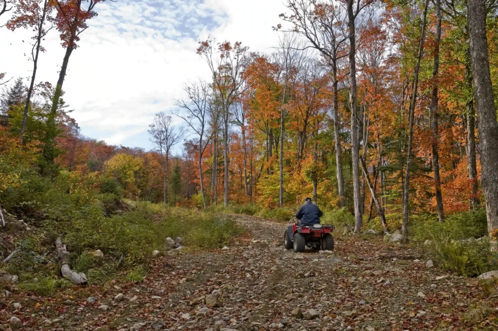A person riding an ATV along a dirt path in a dense forest during fall, surrounded by colorful leaves.