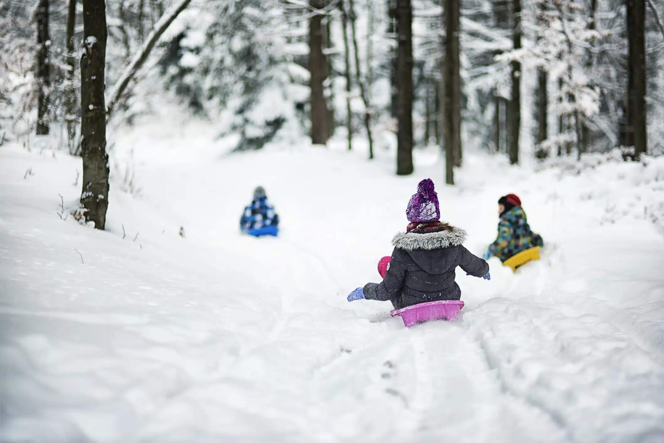 Children sledding down a snowy path in the woods, having fun in the winter landscape.